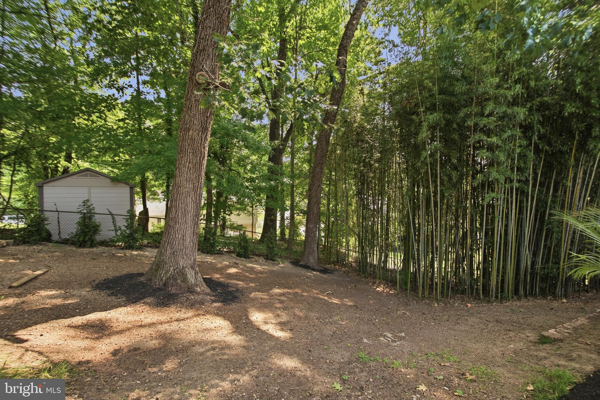 6401 Limerick Court Springfield, VA 22152 - Photo 49 of 56 Backyard