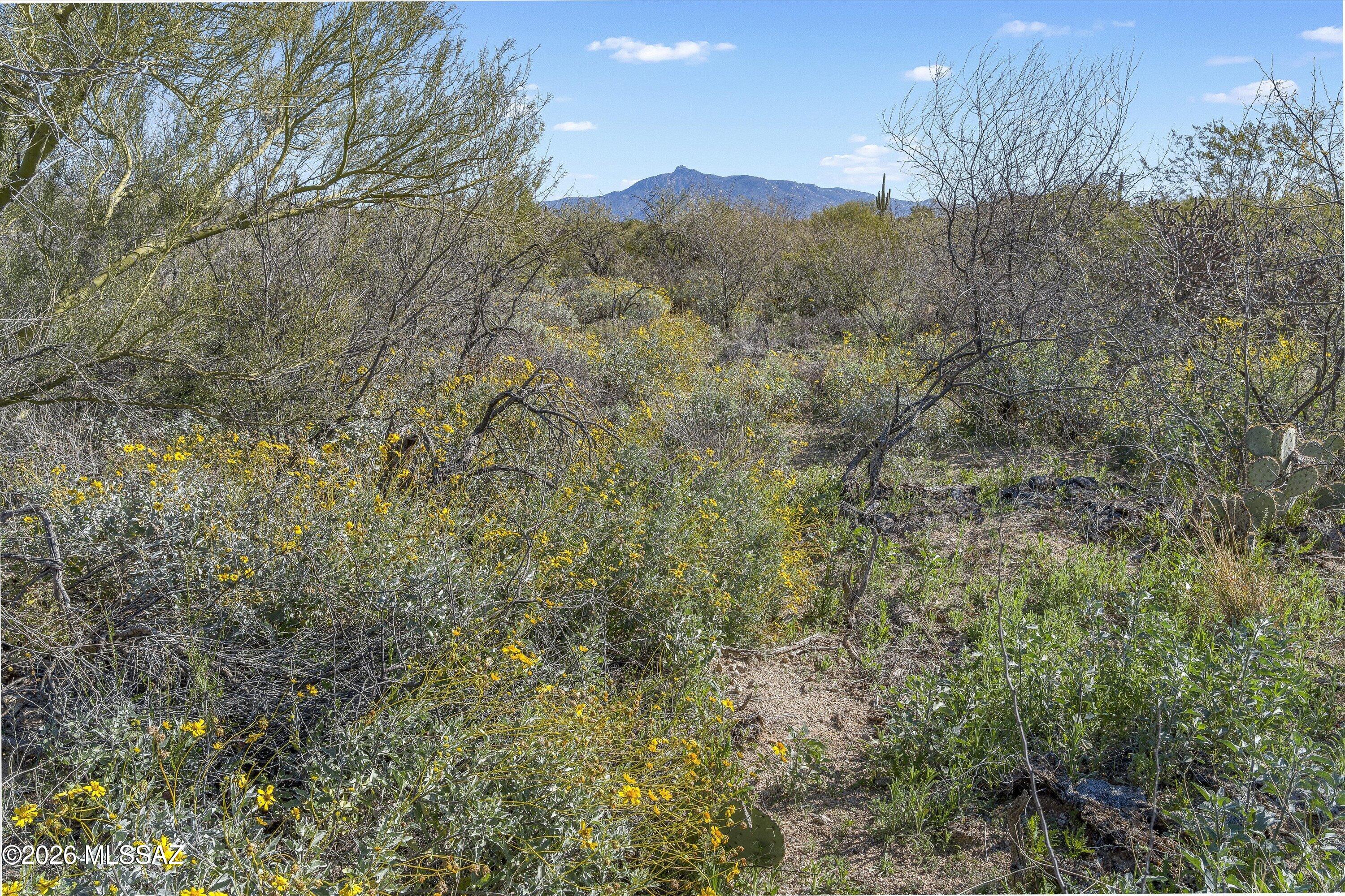 8293 South Tumbling Y Ranch Place, Unit 142 Vail, AZ 85641 - Photo 10 of 30