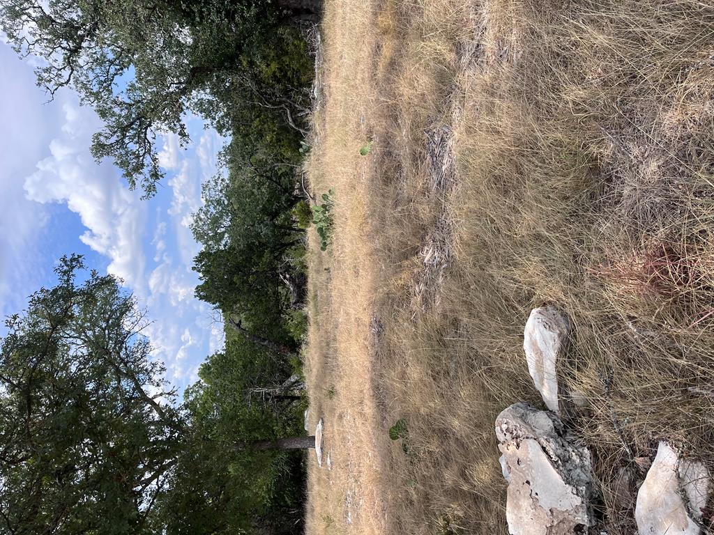 135 Windmill Road Kerrville, TX 78028 - Photo 1 of 1 Main View