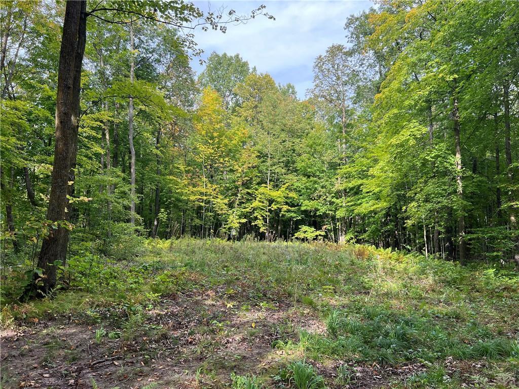 Xxx Stowe Road Birchwood, WI 54817 - Photo 1 of 1 Gallery Image 1