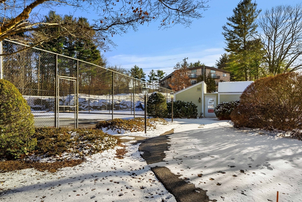 181 Littleton Road, Unit 134 Chelmsford, MA 01824 - Photo 18 of 20 a view of a backyard