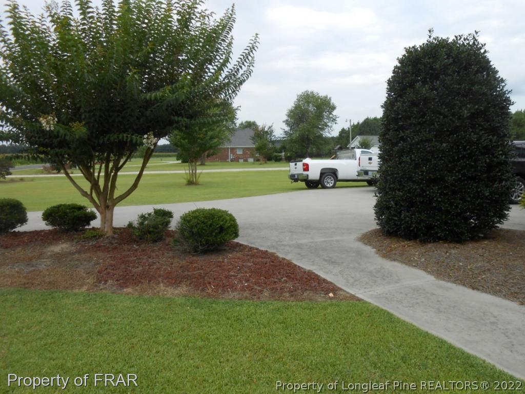 6257 Howell Road Lumberton, NC 28358 - Photo 12 of 34 a view of a park with large trees