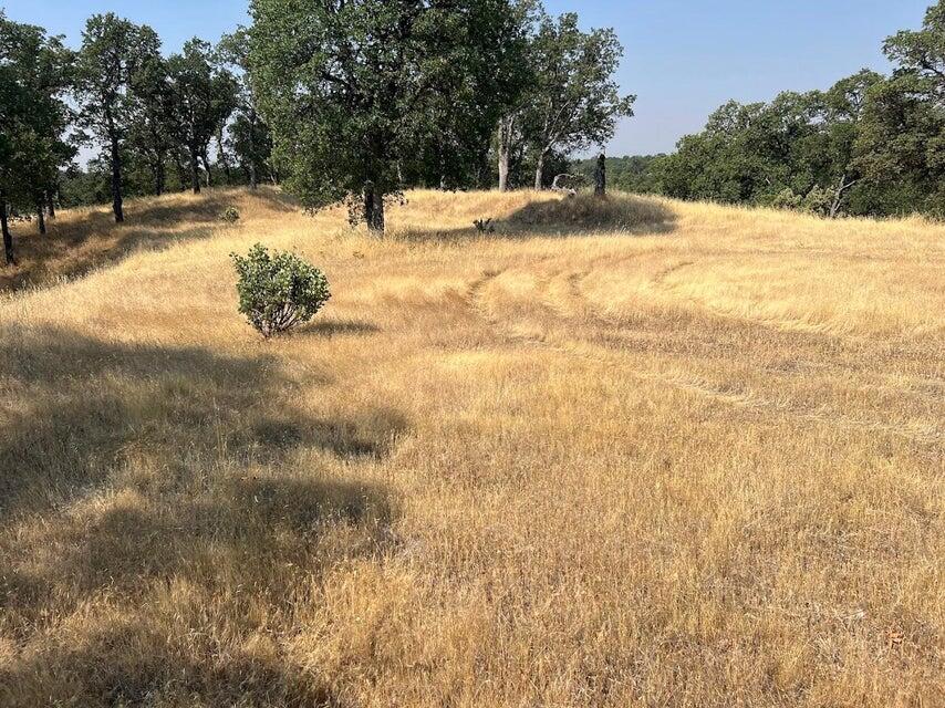 171252 Quail Ridge Road Cottonwood, CA 96022 - Photo 8 of 19 20250718213020364737000000-o