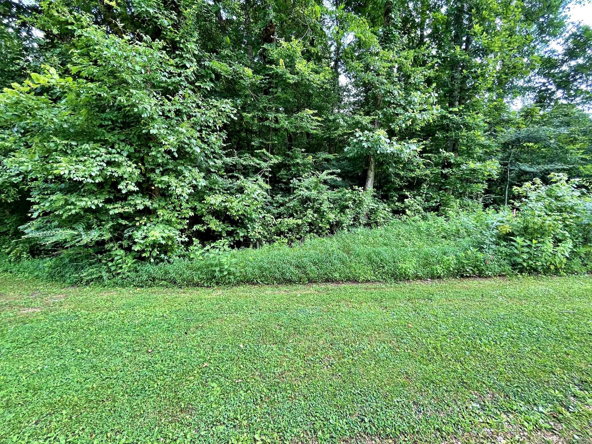 7 Raby Hollow Road Kingston, TN 37763 - Photo 4 of 12