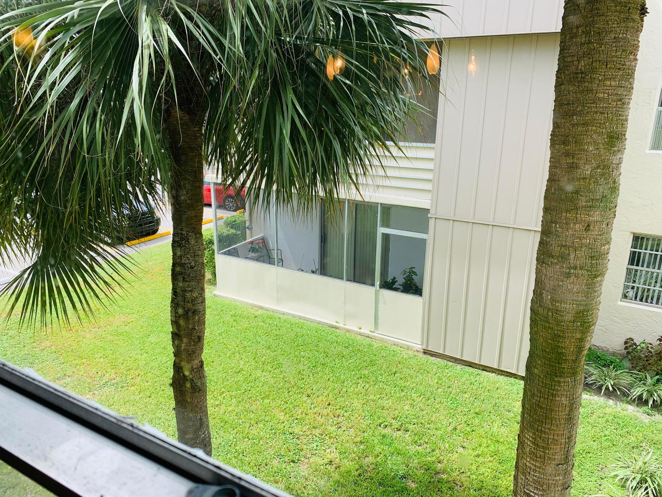 514 Flanders K Delray Beach, FL 33484 - Photo 7 of 10 a view of a yard and a palm tree