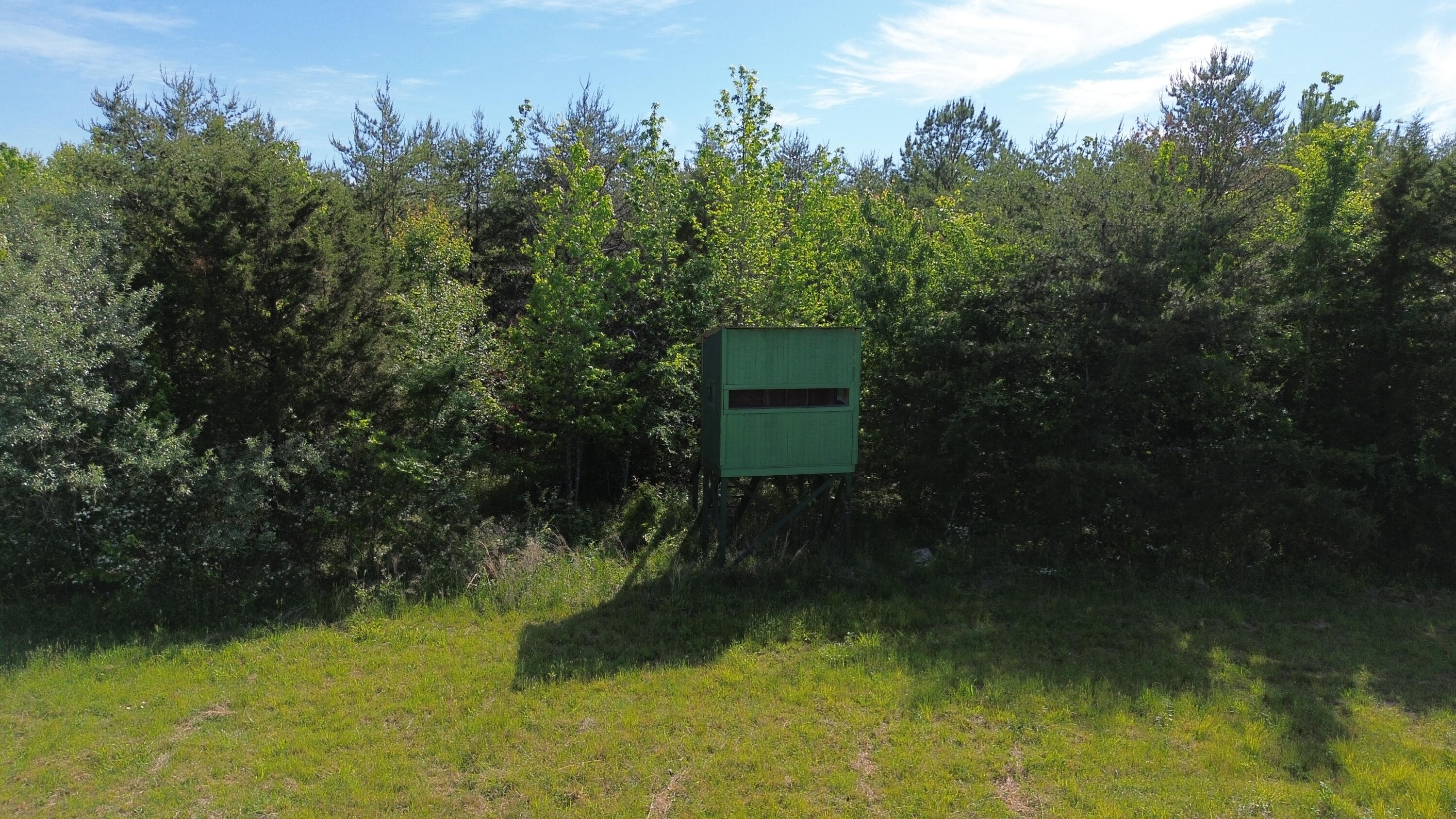 1635 Sandy Flats Road Williamsburg, KY 40769 - Photo 9 of 27 Deer Blind 2