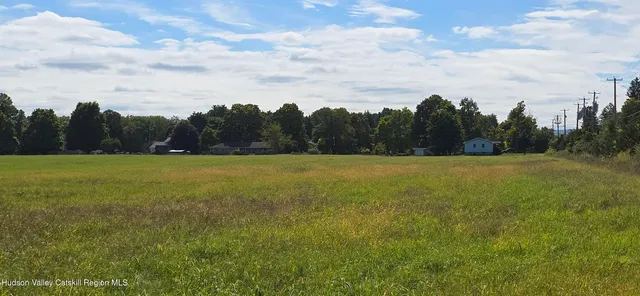 a view of a field with trees in the background