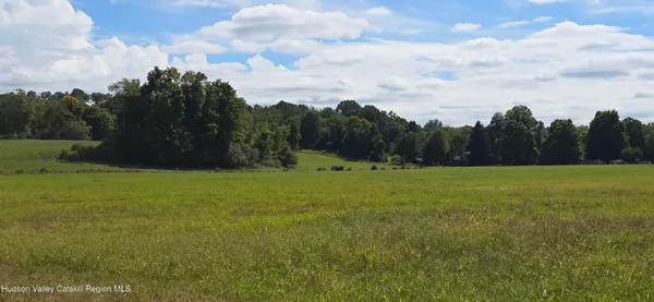 a view of outdoor space with field and trees