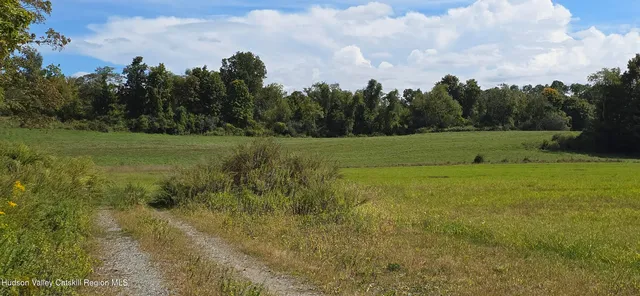 a view of field with trees in the background