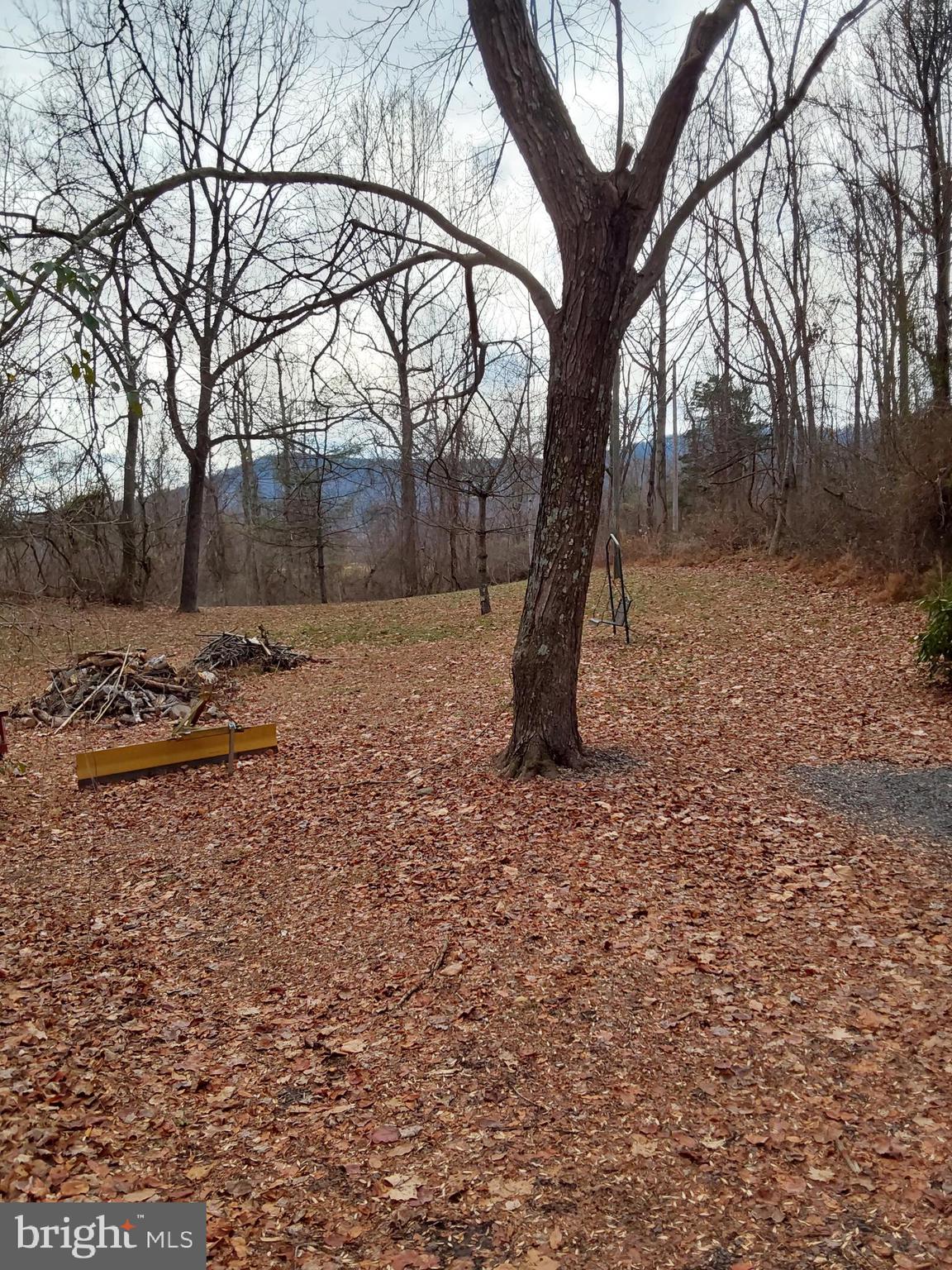 61 Mt Marshall Road Washington, VA 22747 - Photo 28 of 34