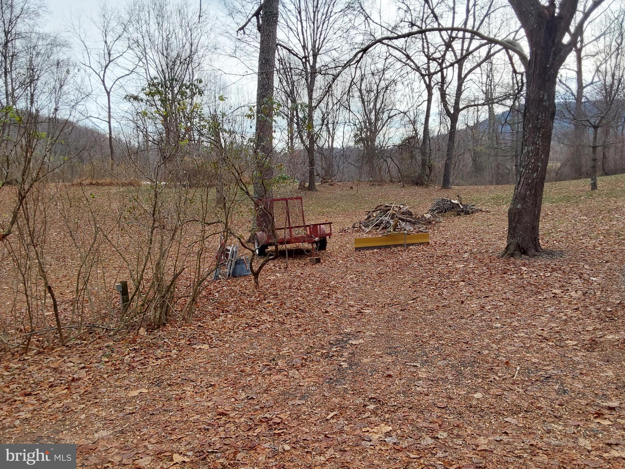 61 Mt Marshall Road Washington, VA 22747 - Photo 29 of 34