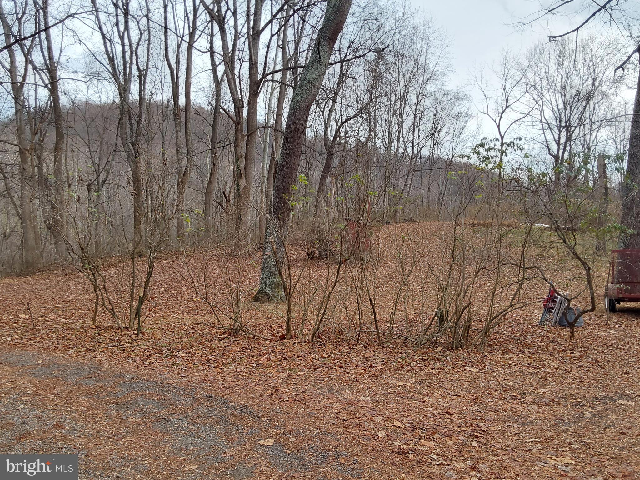 61 Mt Marshall Road Washington, VA 22747 - Photo 30 of 34