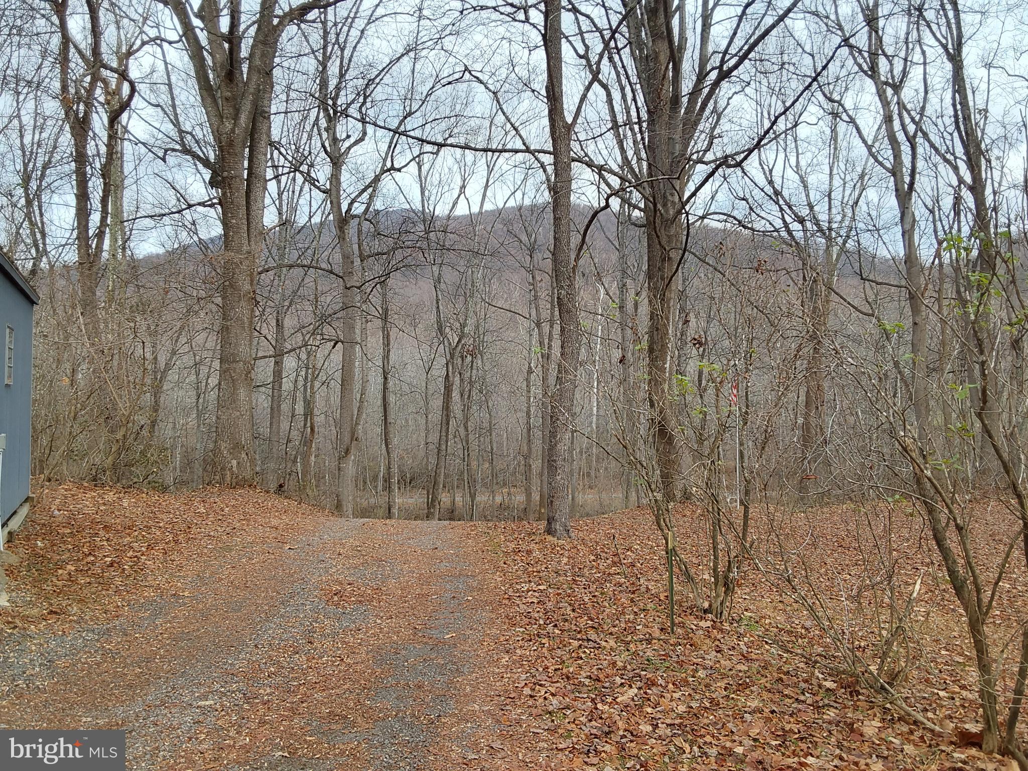 61 Mt Marshall Road Washington, VA 22747 - Photo 32 of 34