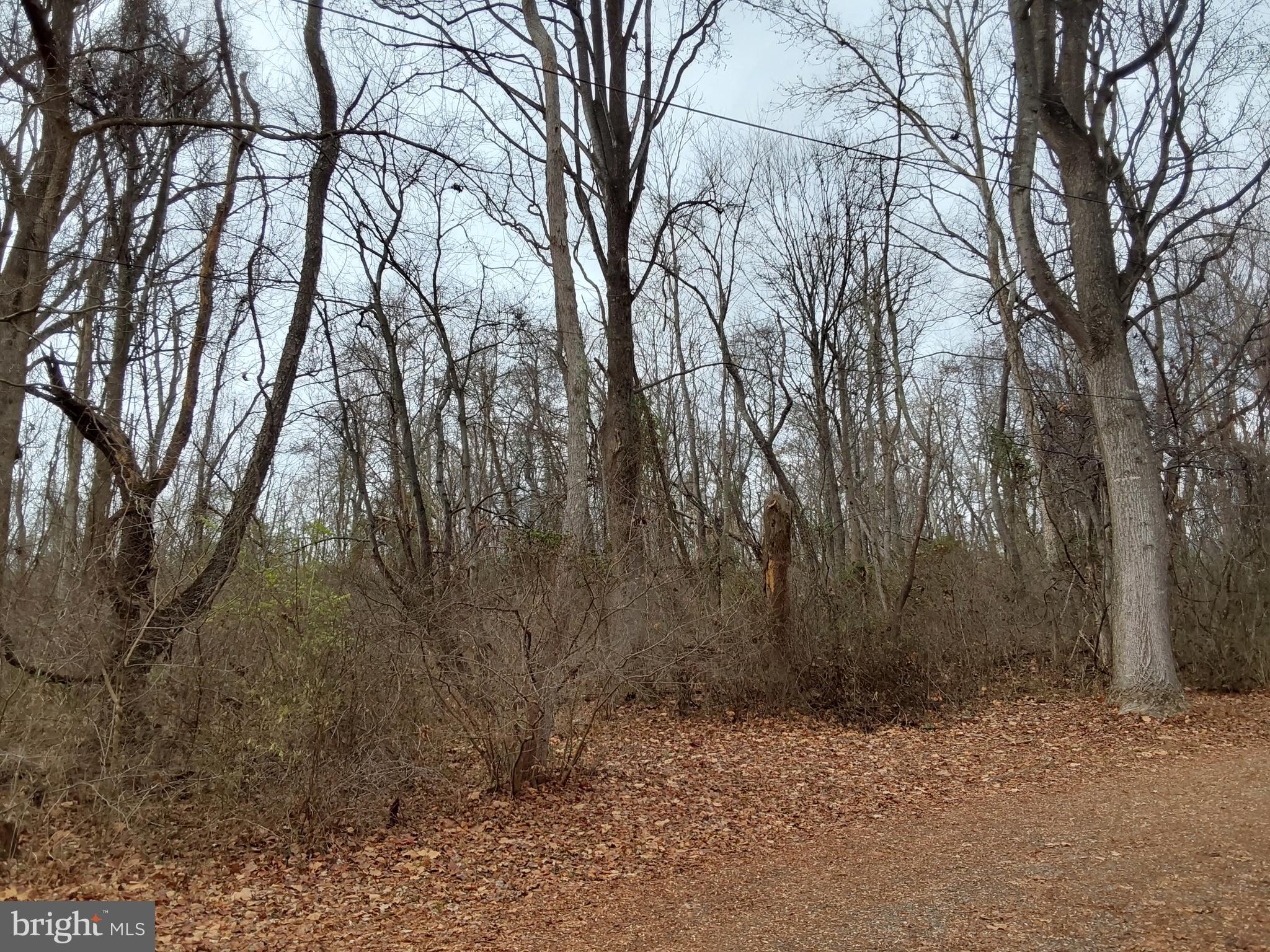 61 Mt Marshall Road Washington, VA 22747 - Photo 33 of 34