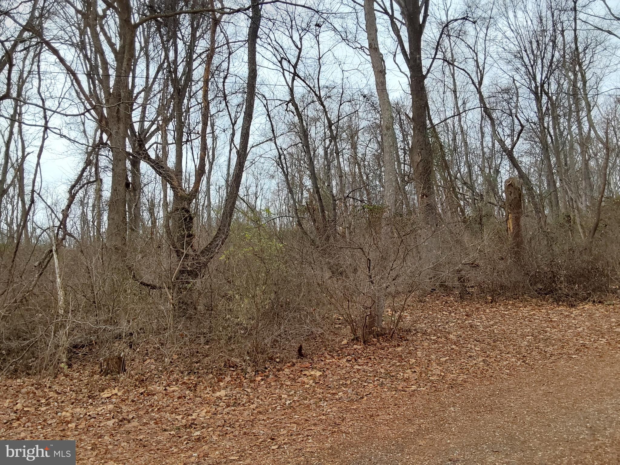 61 Mt Marshall Road Washington, VA 22747 - Photo 34 of 34