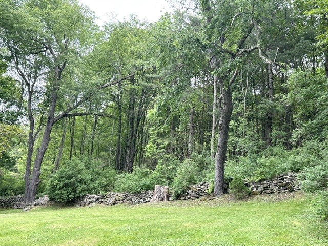 177 Ridge Road Roxbury, NY 12474 - Photo 6 of 41