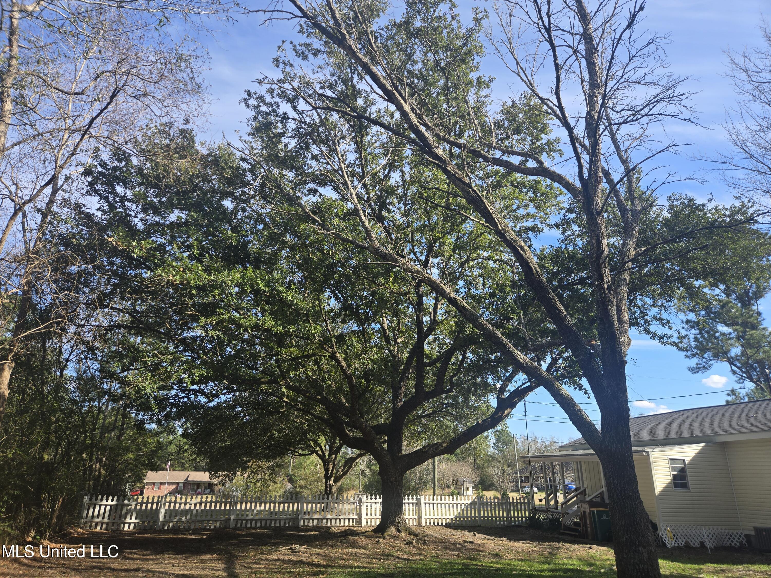 15593 Walter Smith Road Gulfport, MS 39503 - Photo 23 of 30 Two Mature Live Oaks