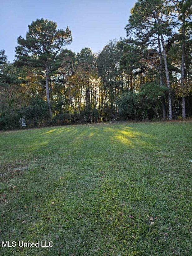 15593 Walter Smith Road Gulfport, MS 39503 - Photo 28 of 30 South Lawn