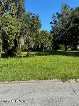 a view of a park with large trees