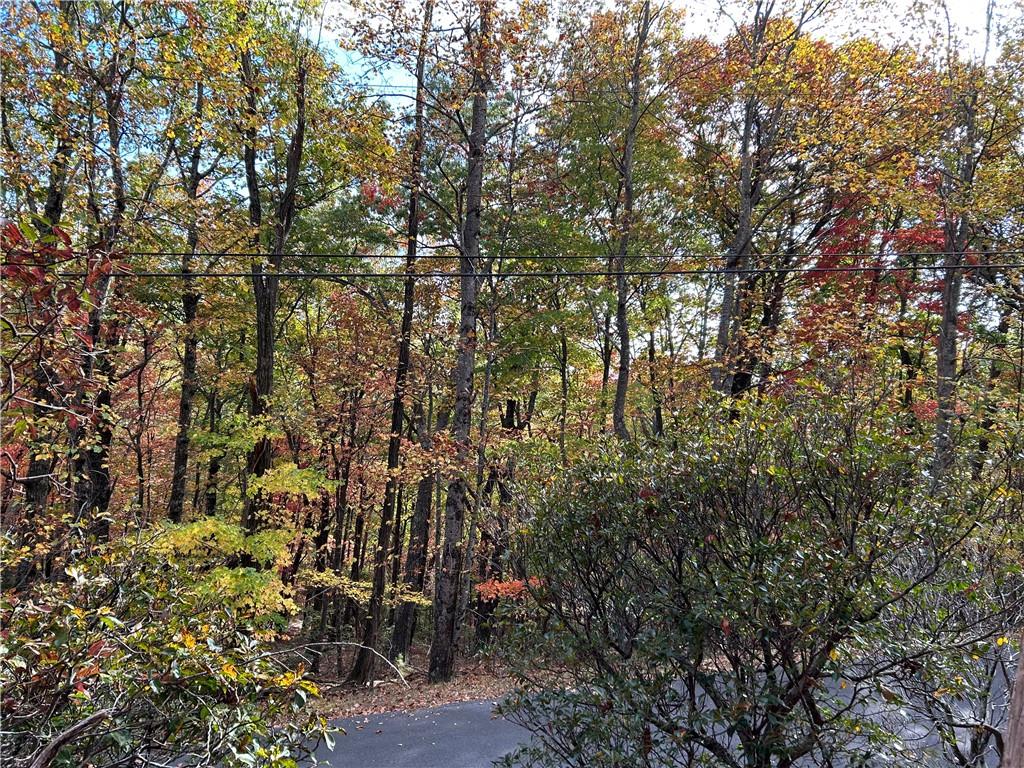 4483 Denny Ridge Road Jasper, GA 30143 - Photo 11 of 43