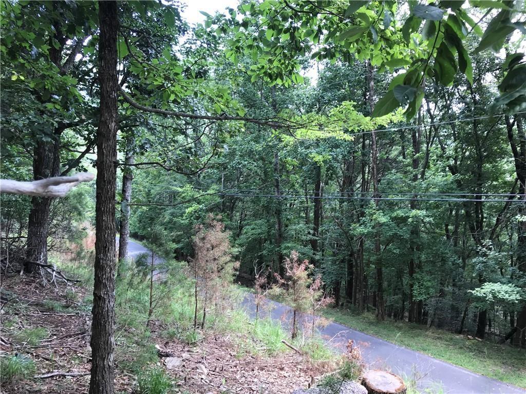 4483 Denny Ridge Road Jasper, GA 30143 - Photo 17 of 43