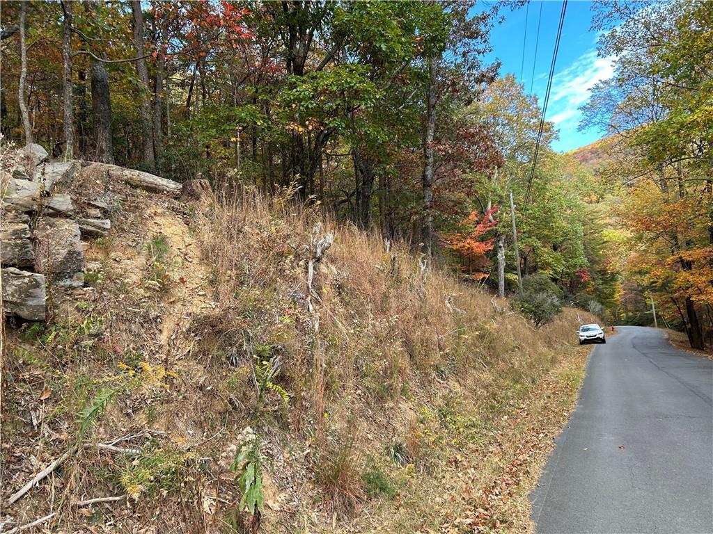 4483 Denny Ridge Road Jasper, GA 30143 - Photo 5 of 43