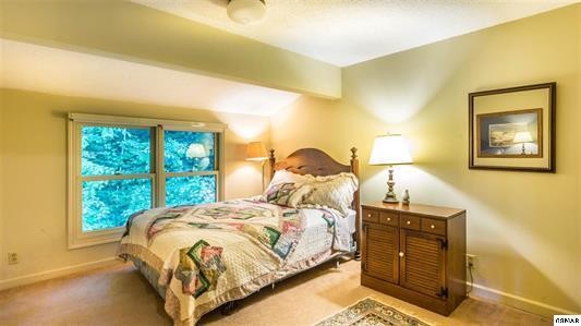 253 Tunis Road Sevierville, TN 37876 - Photo 15 of 21 Gallery Image 15