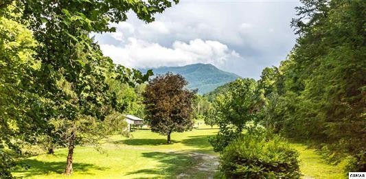 253 Tunis Road Sevierville, TN 37876 - Photo 19 of 21 Gallery Image 19