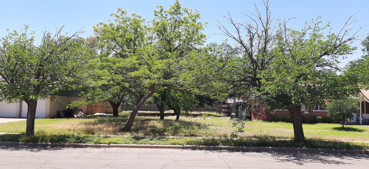 4709 47th Street Lubbock, TX 79414 - Photo 2 of 3 a view of a park with tree s