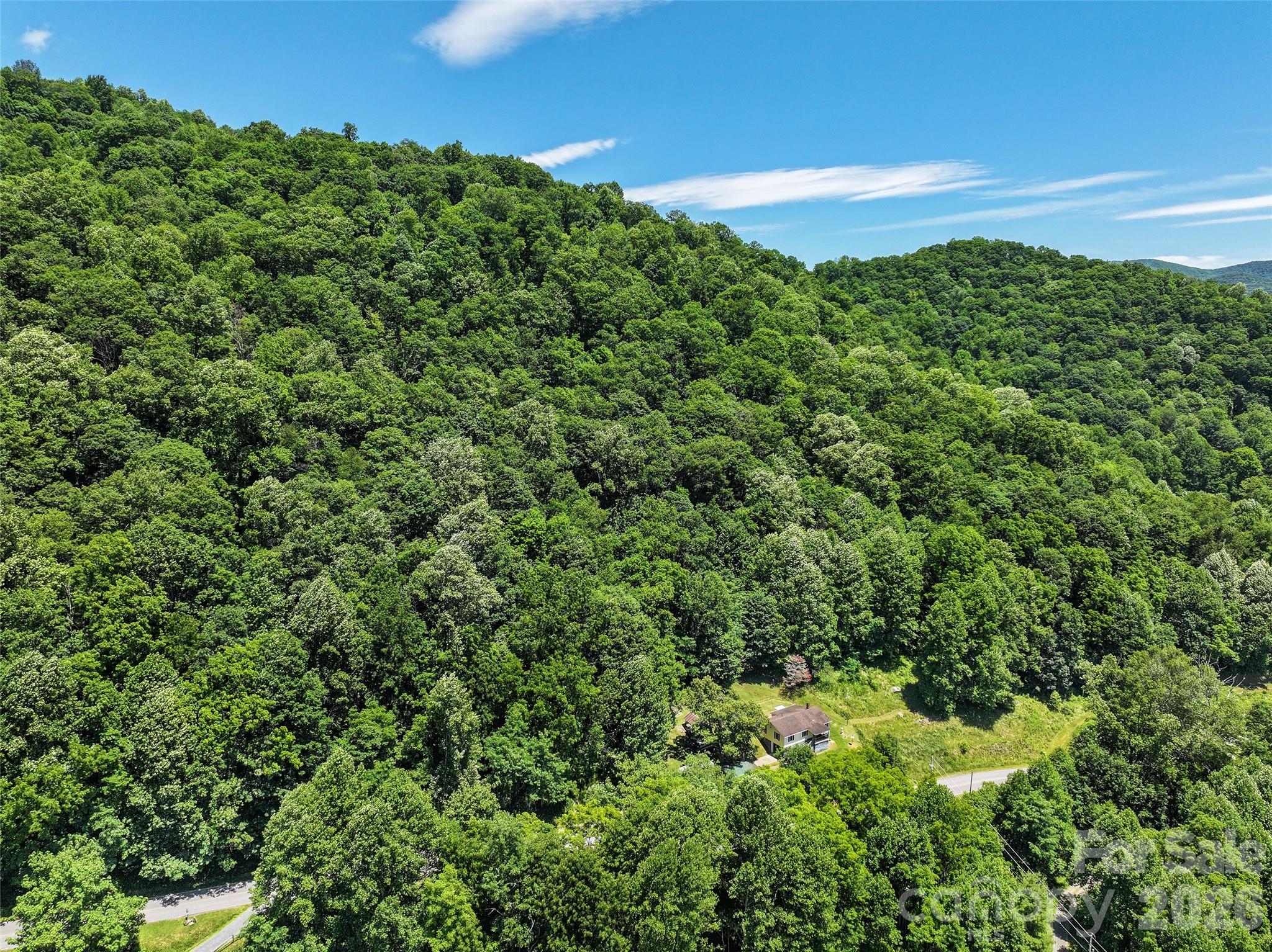 2426 Wesley Creek Road Clyde, NC 28721 - Photo 28 of 30