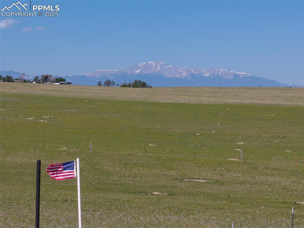 20533 Blue Springs View Peyton, CO 80831 - Photo 3 of 13 Summertime grass.