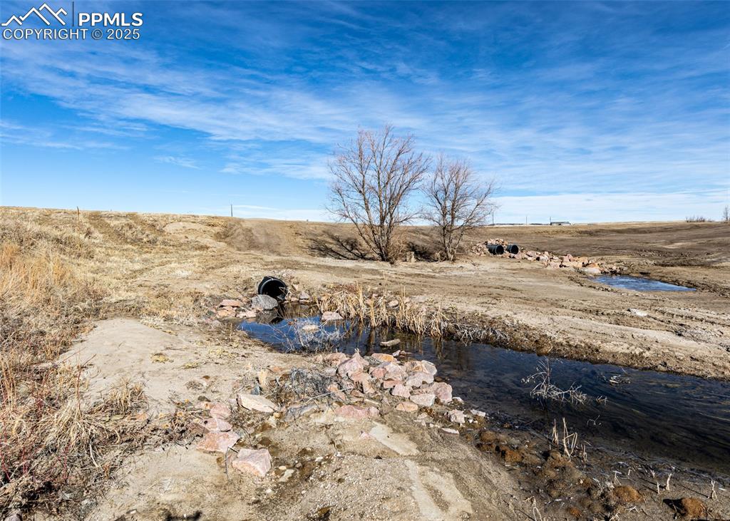 20533 Blue Springs View Peyton, CO 80831 - Photo 8 of 13 Both culverts and trees