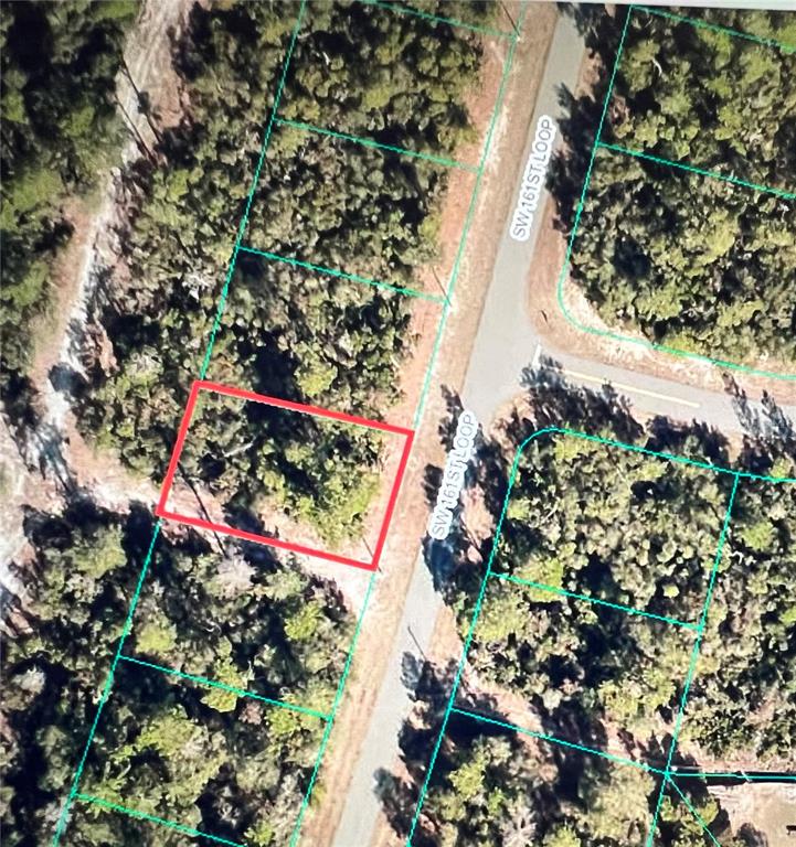 161 Southwest 161st Loop Ocala, FL 34473 - Photo 1 of 1 Gallery Image 1
