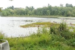 5 Wadleigh Point Road Kingston, NH 03848 - Photo 24 of 27 Gallery Image 24
