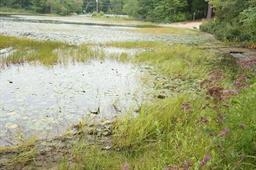 5 Wadleigh Point Road Kingston, NH 03848 - Photo 25 of 27 Gallery Image 25
