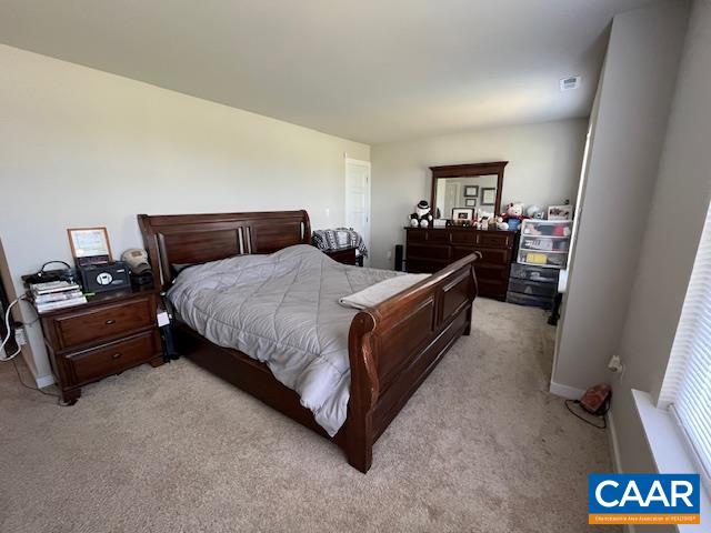 198 Riva Way Palmyra, VA 22963 - Photo 12 of 24