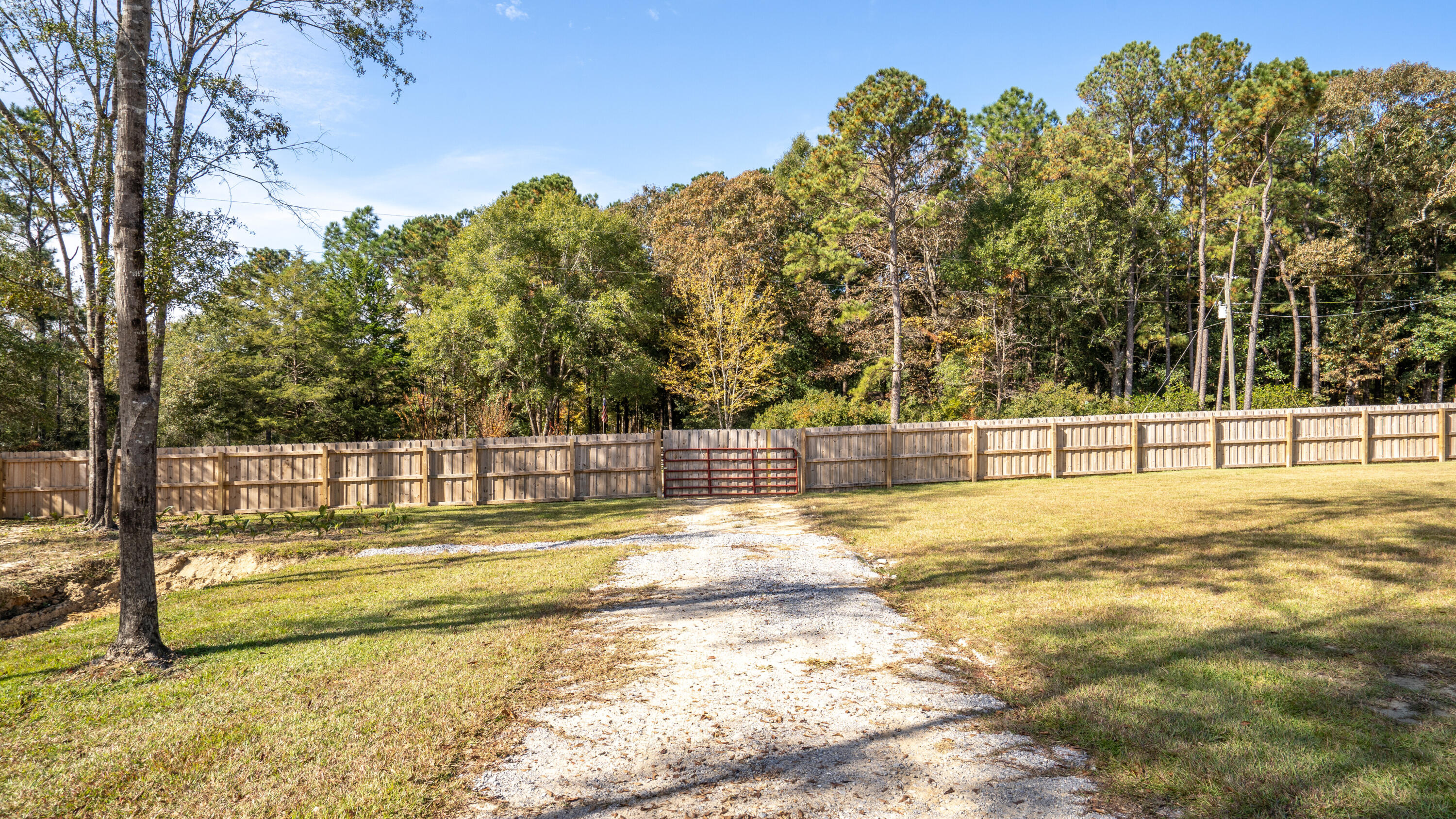 7066 Senterfitt Road Laurel Hill, FL 32567 - Photo 41 of 59 a view of yard with trees