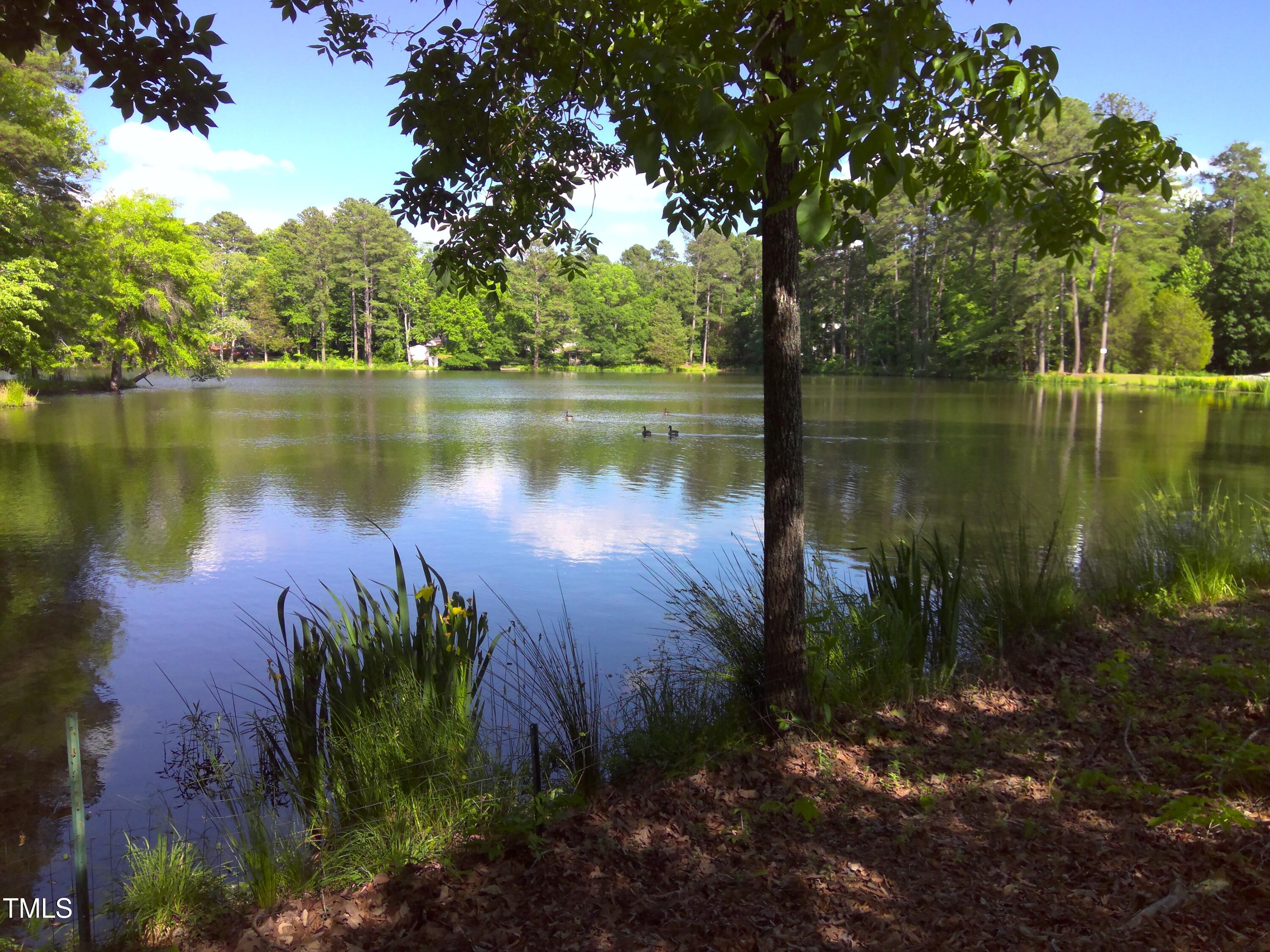 12 Crail Court Durham, NC 27712 - Photo 27 of 29 a body of water with a tree in the background