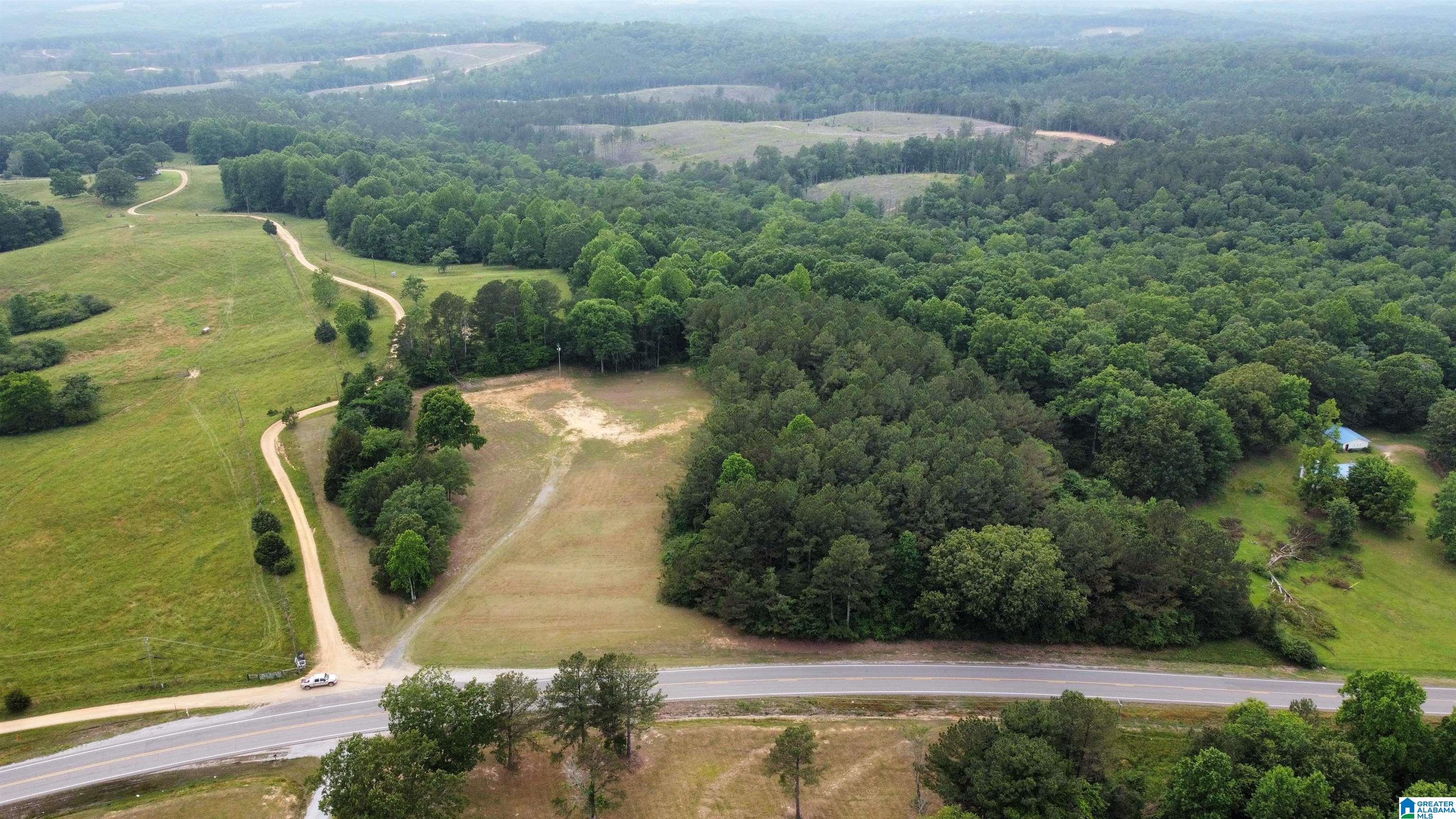 22909 Highway 195 Double Springs, AL 35553 - Photo 13 of 19
