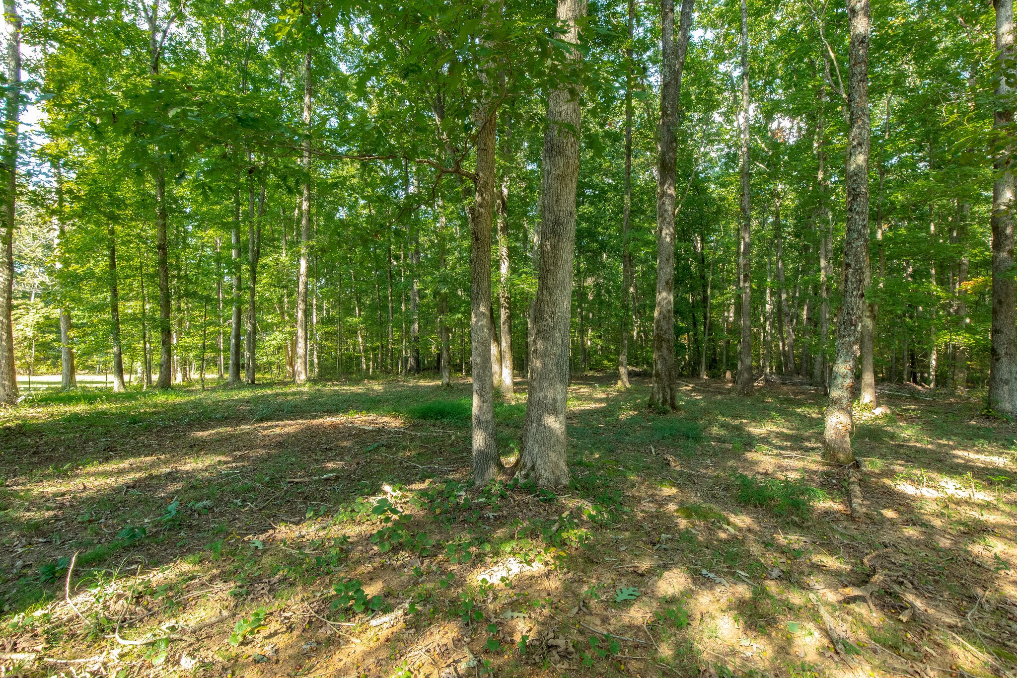 7768 Pinewood Road Nunnelly, TN 37137 - Photo 25 of 25 Gallery Image 25