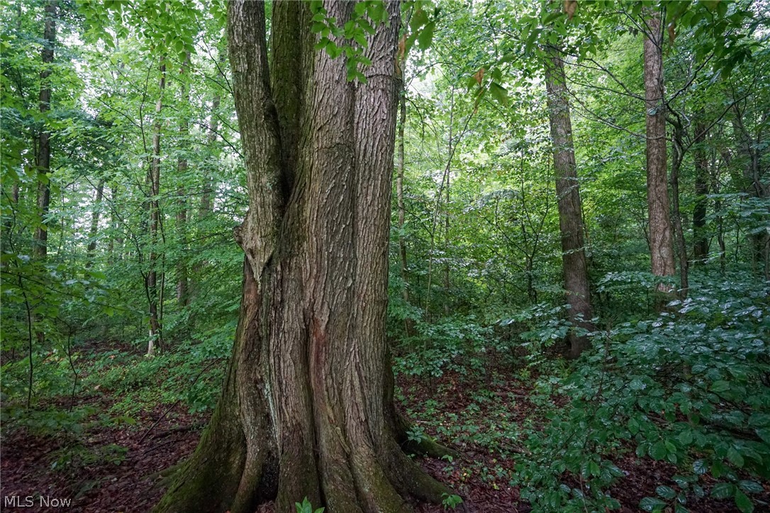 Duncanson Road Sardinia, OH 45171 - Photo 33 of 50 Gallery Image 33