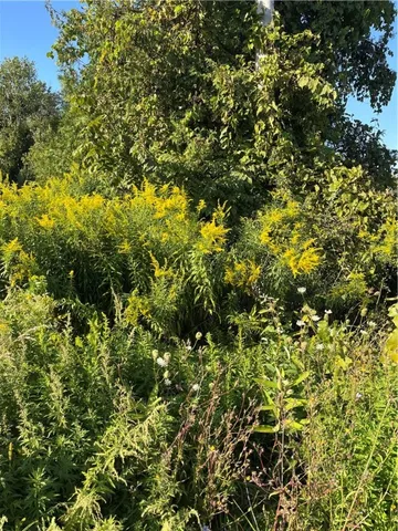 $12,500 | 0 Ridge Road, Wolcott, NY 14590