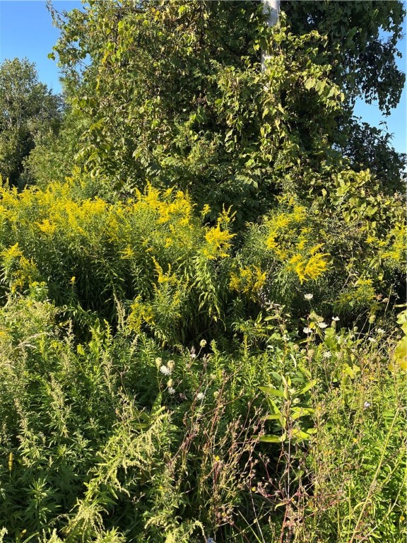 0 Ridge Road Wolcott, NY 14590 - Photo 1 of 2