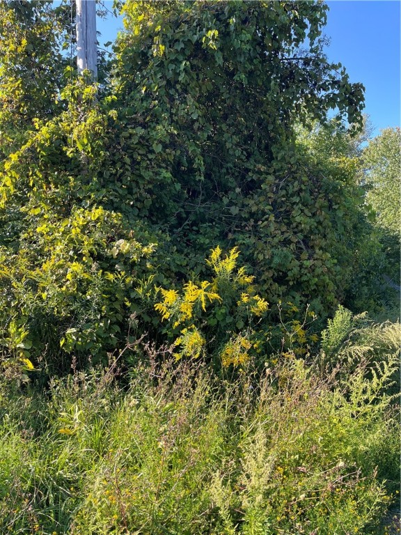 0 Ridge Road Wolcott, NY 14590 - Photo 2 of 2