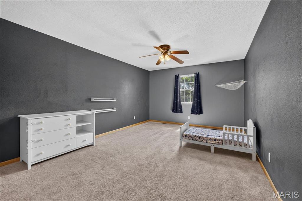 813 E Haven Waterloo, IL 62298 - Photo 27 of 55