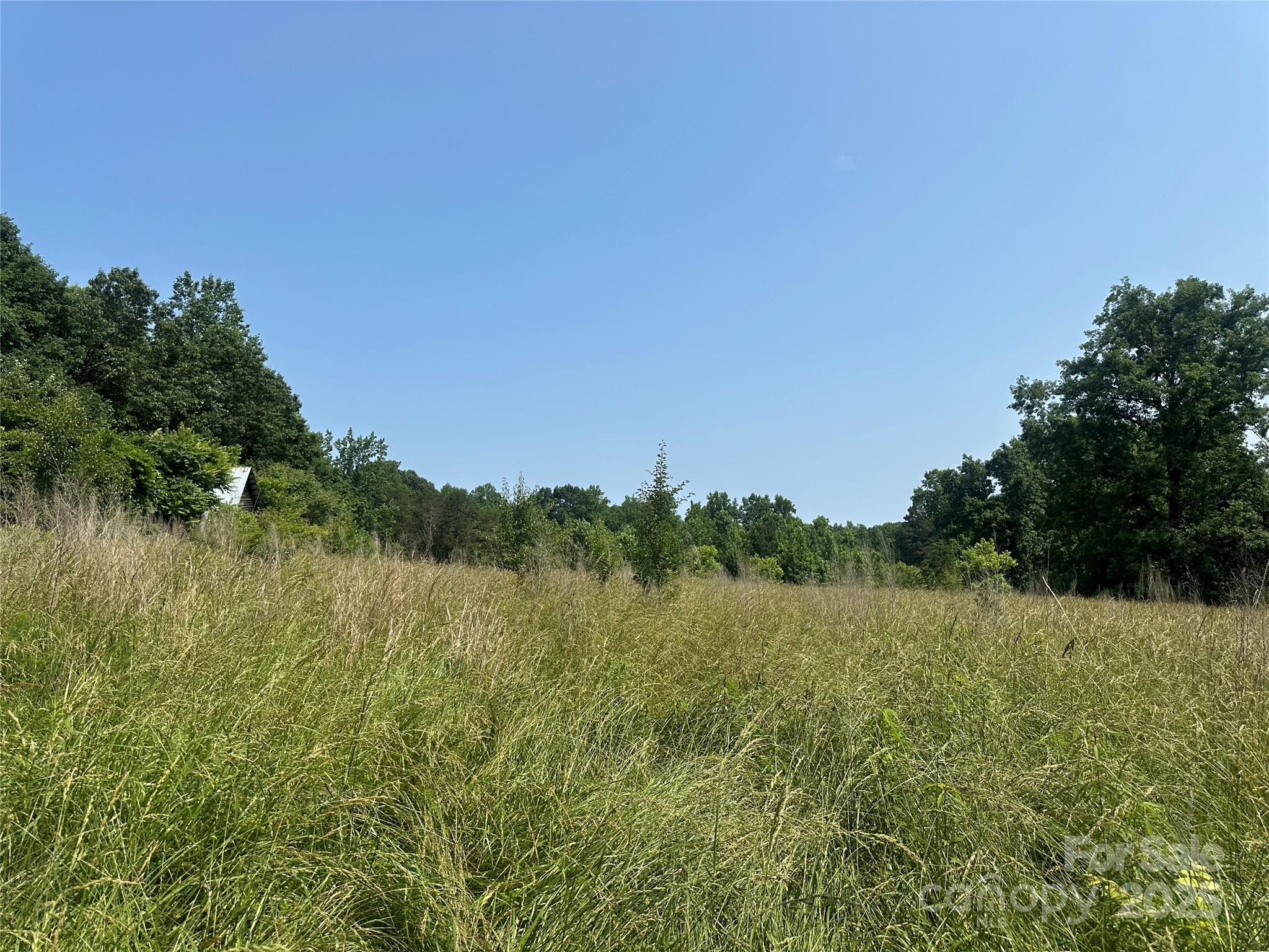 4171 Leatherman Road Vale, NC 28168 - Photo 9 of 24 a view of a field of grass and trees