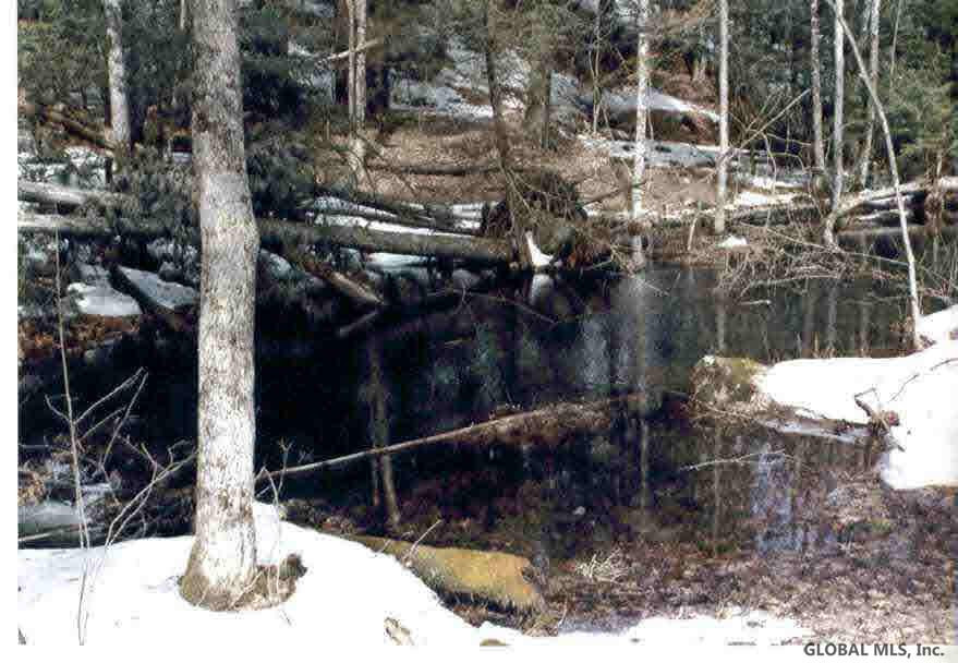 0 Lot Road Hartford, NY 12838 - Photo 1 of 3 Photo 1