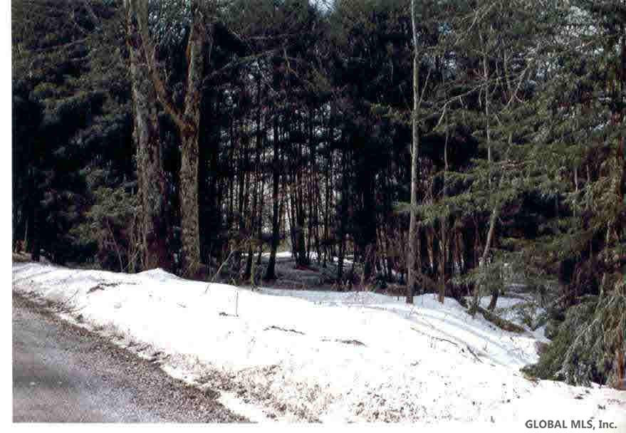 0 Lot Road Hartford, NY 12838 - Photo 2 of 3 Photo 2
