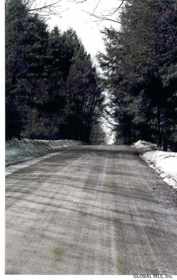 0 Lot Road Hartford, NY 12838 - Photo 3 of 3 Photo 3