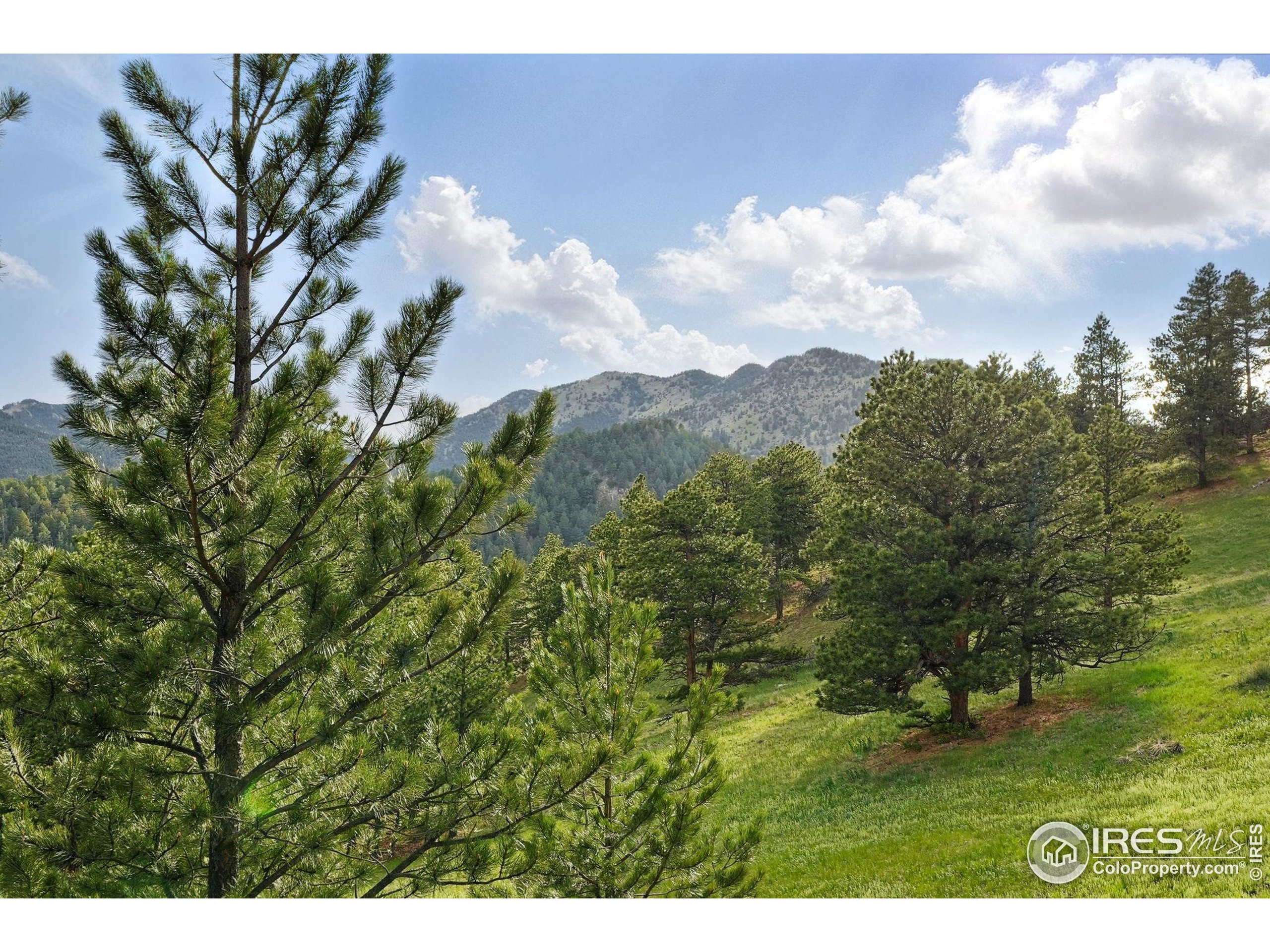 1101 Peakview Circle Boulder, CO 80302 - Photo 23 of 37 a view of a big yard